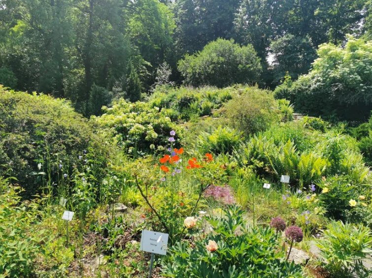 Arboretum Habichtsborn, Germany
